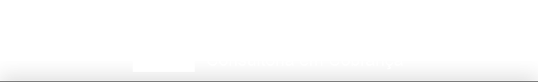 R. Bernei Consultoria